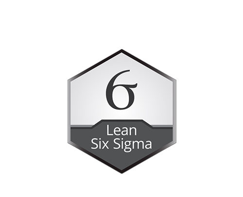 Lean Six Sigma